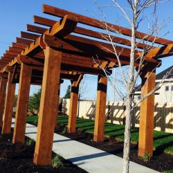 pergola