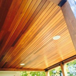 Tigerwood deck lighting