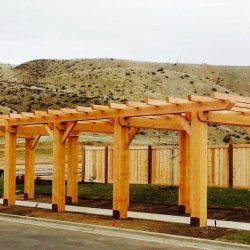 Long walkway pergola
